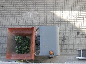 IMG_3581