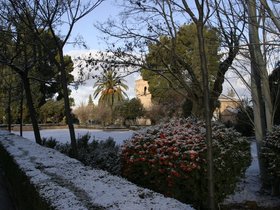 IMG_3758