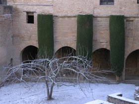 IMG_3806