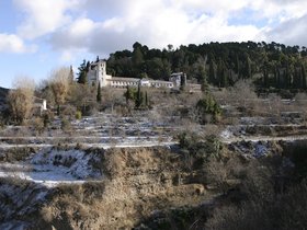 IMG_3808