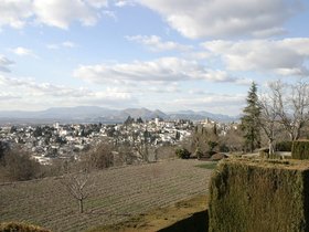 IMG_3833
