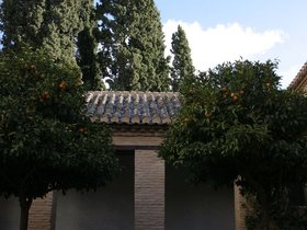IMG_3835