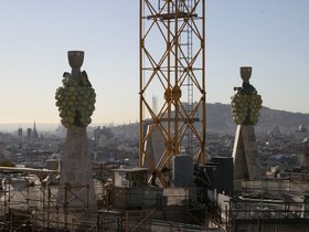 IMG_3896