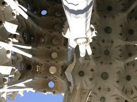 IMG_3919