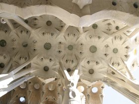 IMG_3920