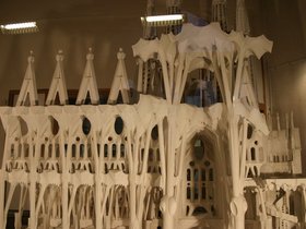 IMG_3921