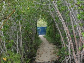 IMG_4271