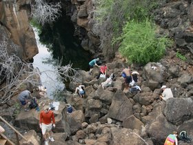 IMG_4313