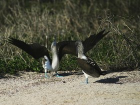 IMG_4382
