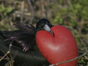 IMG_4397