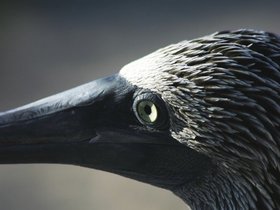 IMG_4401
