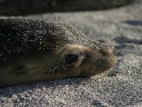 IMG_4424