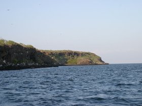 IMG_4458