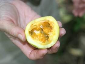 IMG_4467