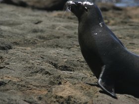 IMG_4567
