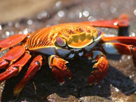 IMG_4589