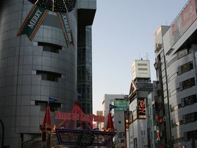 IMG_8246