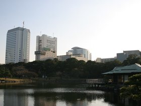 IMG_8295