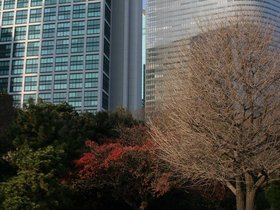 IMG_8302