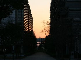 IMG_8346