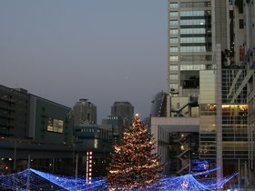 IMG_8351