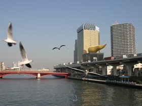 IMG_8428