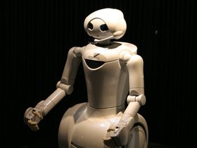 IMG_8464