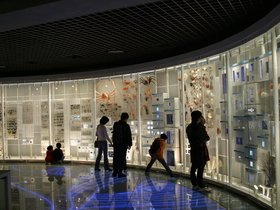 IMG_8498