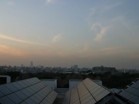 IMG_8517