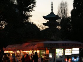 IMG_8527