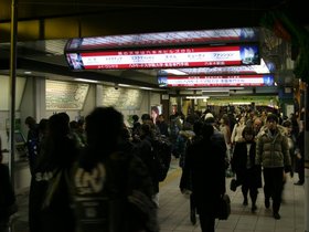 IMG_8541