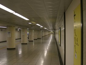 IMG_8566
