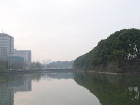 IMG_8567
