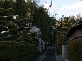 IMG_8646