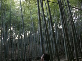 IMG_8655