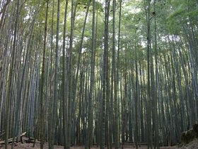IMG_8660