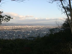 IMG_8667