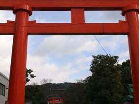 IMG_8672
