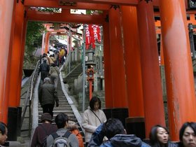 IMG_8696
