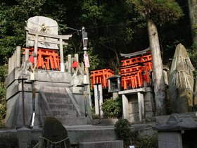 IMG_8704