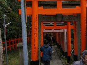 IMG_8709