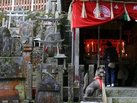 IMG_8716