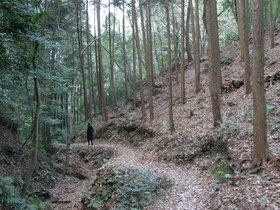 IMG_8719