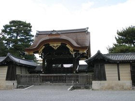 IMG_8746