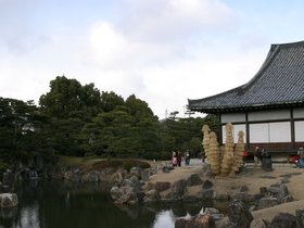 IMG_8752