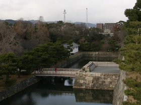 IMG_8761