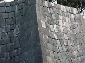 IMG_8767
