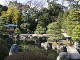 IMG_8769