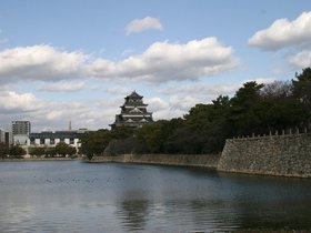 IMG_8782