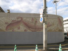 IMG_8792